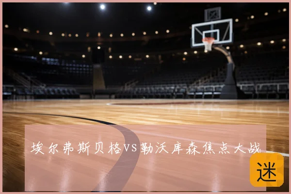埃尔弗斯贝格vs勒沃库森焦点大战